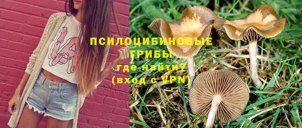 2c-b Пестово