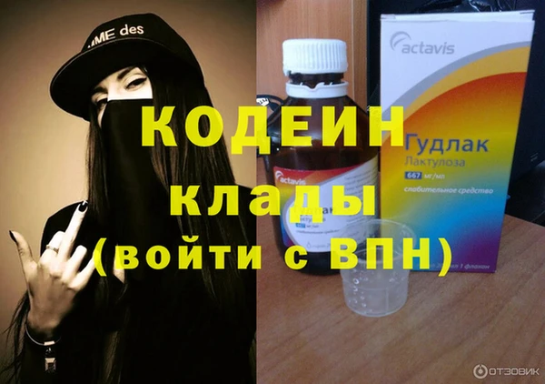 2c-b Пестово