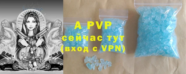 2c-b Пестово